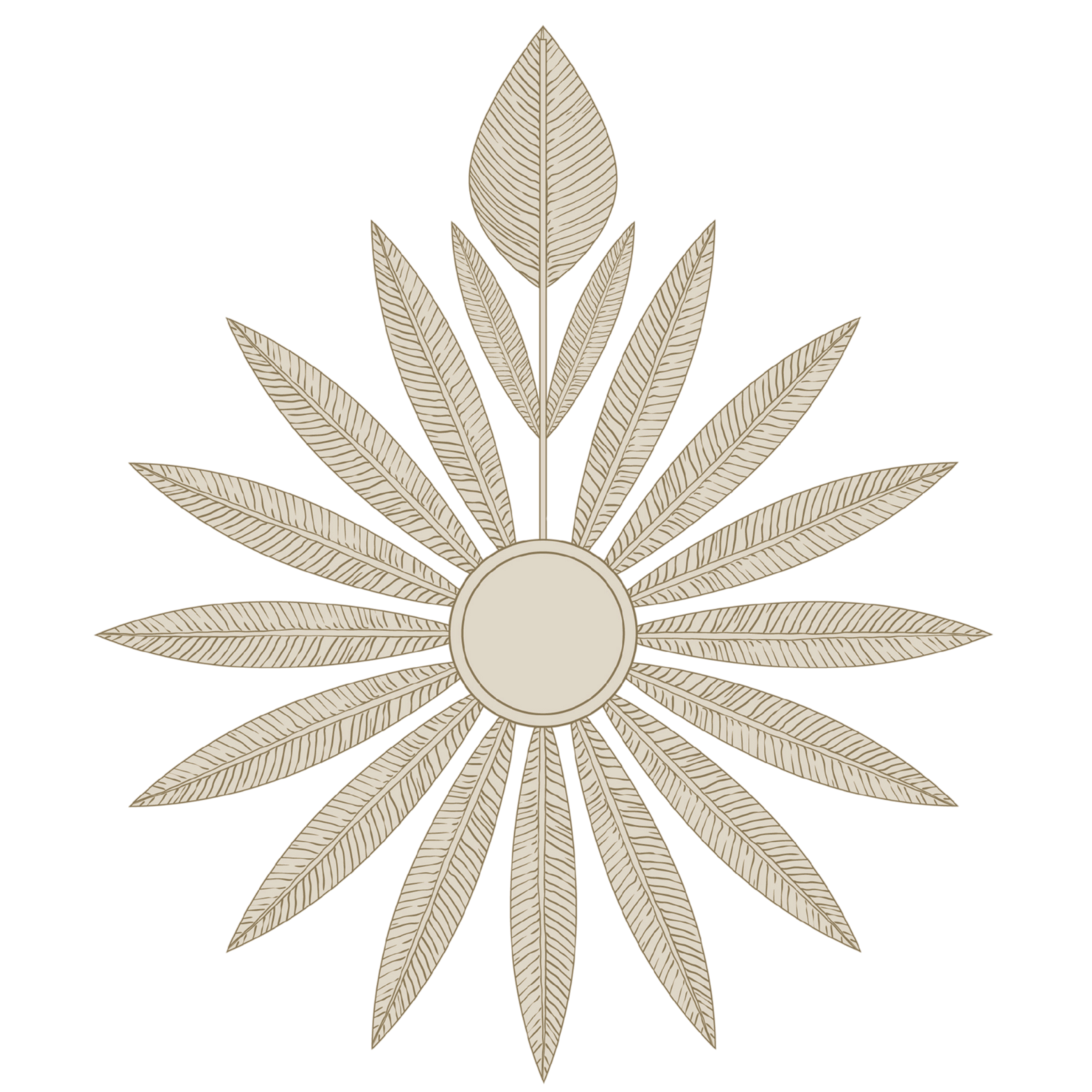 EOS AURA
